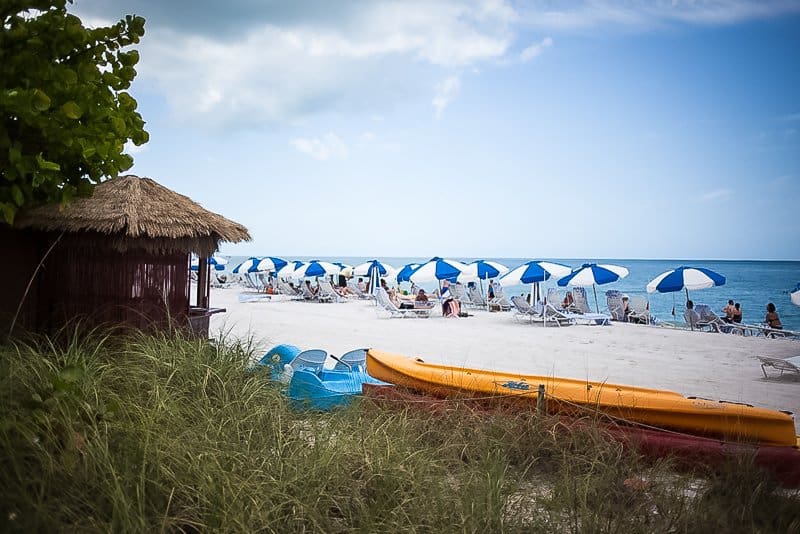 Laplaya Hotel: Family-friendly Resort In Naples, Florida