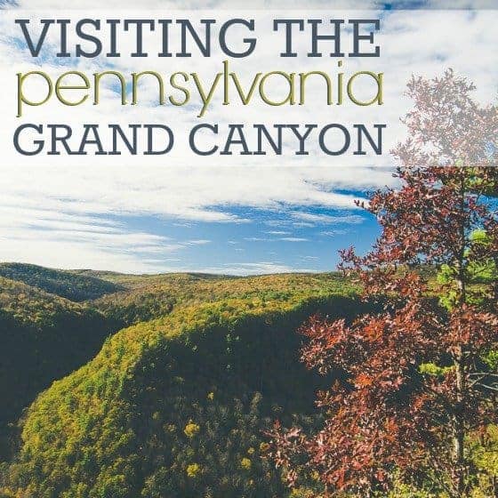 Visiting The Pennsylvania Grand Canyon Visiting The Pennsylvania Grand Canyon