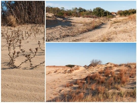 Vacationing In The Outer Banks, North Carolina