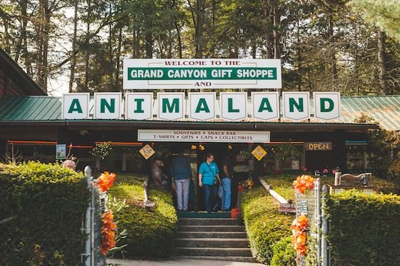 Visiting The Pennsylvania Grand Canyon Visiting The Pennsylvania Grand Canyon