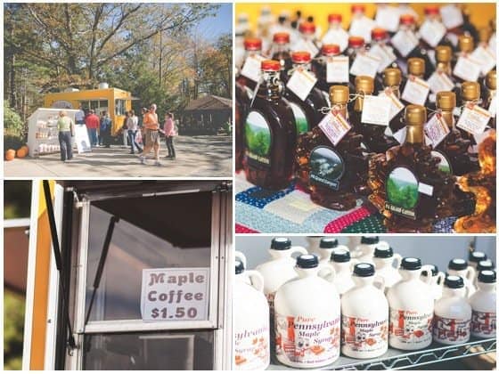 Visiting The Pennsylvania Grand Canyon Visiting The Pennsylvania Grand Canyon