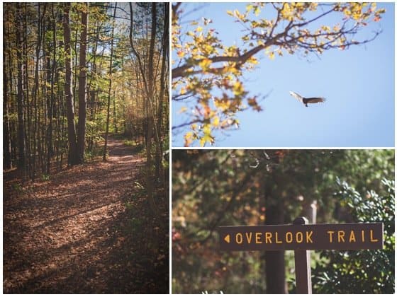 Visiting The Pennsylvania Grand Canyon Visiting The Pennsylvania Grand Canyon