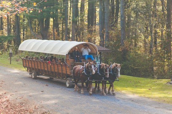 Visiting The Pennsylvania Grand Canyon Visiting The Pennsylvania Grand Canyon