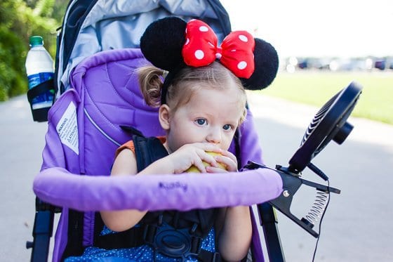 Orlando Travel Guide for Families%category%Every Avenue Travel%tag%