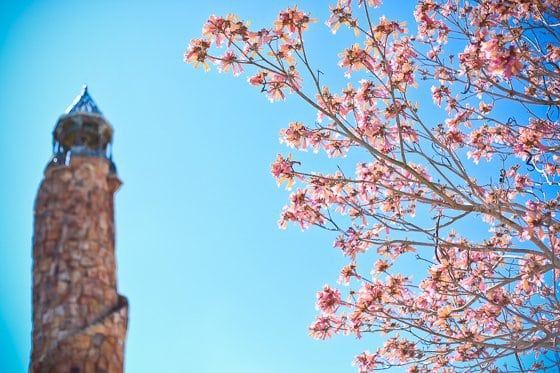 Orlando Travel Guide for Families%category%Every Avenue Travel%tag%