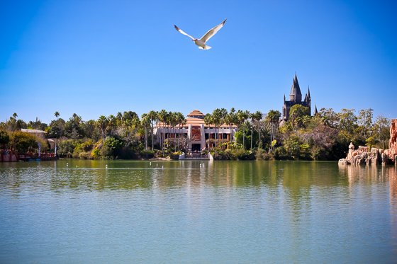 Orlando Travel Guide for Families%category%Every Avenue Travel%tag%