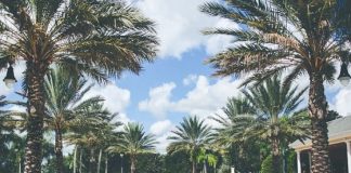 Resort Living at Reunion, Orlando Resort Living At Reunion, Orlando