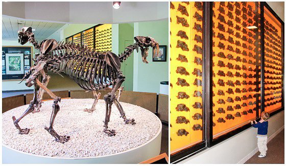 An Afternoon In Los Angeles: Mid-wilshire