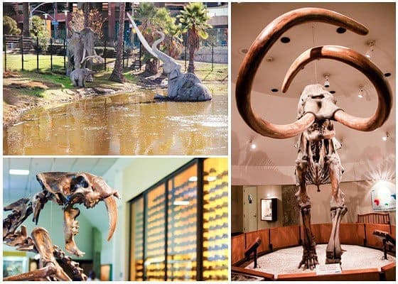 An Afternoon In Los Angeles: Mid-wilshire