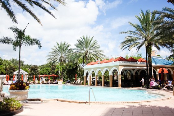 Sea World With Renaissance Orlando