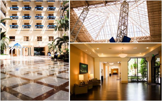 Sea World With Renaissance Orlando