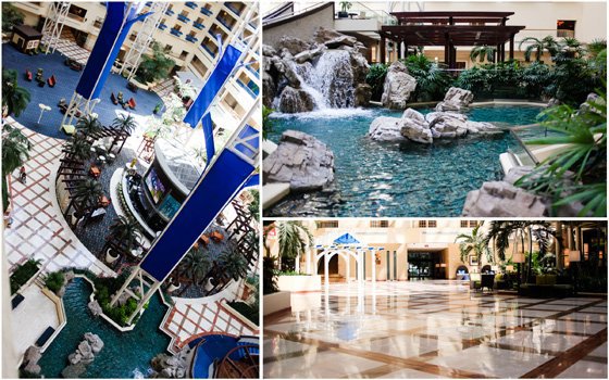 Sea World With Renaissance Orlando