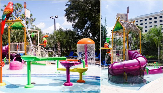 Sea World With Renaissance Orlando