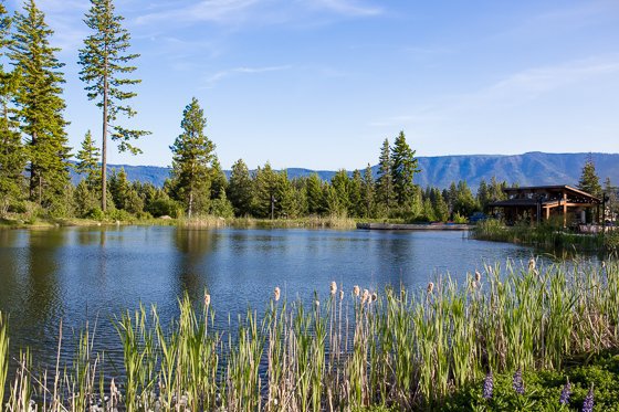 Summer Family Adventures: Suncadia Resort