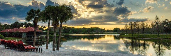 Holiday Travel Specials: Holidays 2014