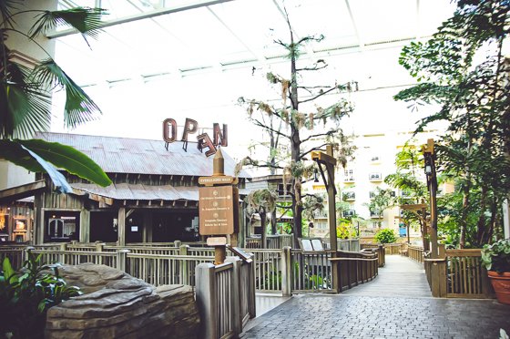 Celebrating The Holidays With Gaylord Palms Orlando