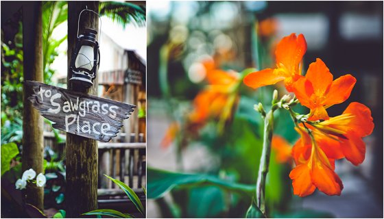 Celebrating The Holidays With Gaylord Palms Orlando