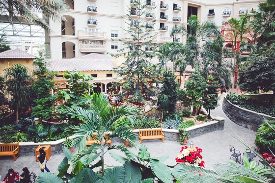 Celebrating The Holidays With Gaylord Palms Orlando