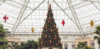 Celebrating the Holidays with Gaylord Palms Orlando Celebrating The Holidays With Gaylord Palms Orlando