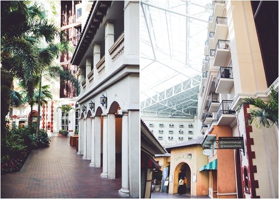 Celebrating The Holidays With Gaylord Palms Orlando