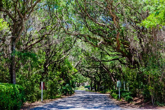 Oceanfront Villa Getaway On Amelia Island