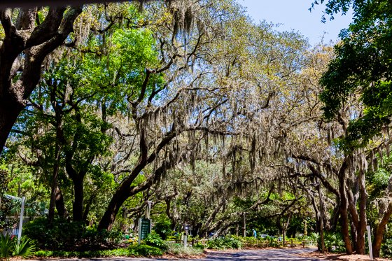 Oceanfront Villa Getaway On Amelia Island