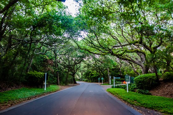 Oceanfront Villa Getaway On Amelia Island