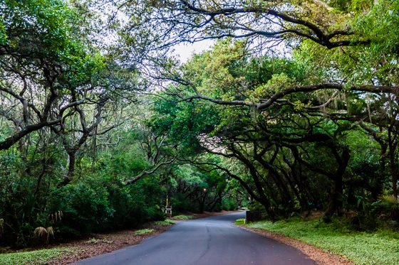 Oceanfront Villa Getaway On Amelia Island