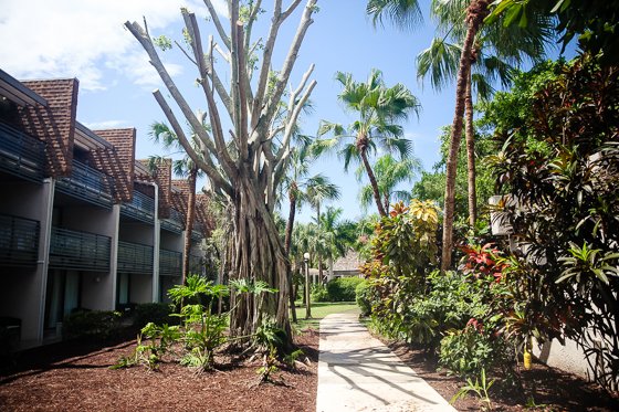 Active Wellness At Club Med At Sandpiper Bay