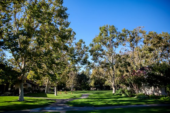 Rustic Elegance For Families: The Alisal Guest Ranch Resort