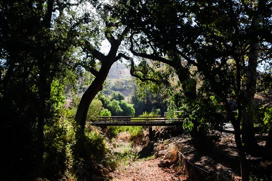 Rustic Elegance For Families: The Alisal Guest Ranch Resort