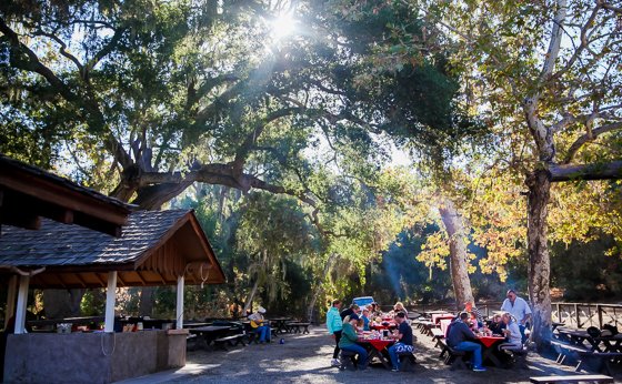 Rustic Elegance For Families: The Alisal Guest Ranch Resort