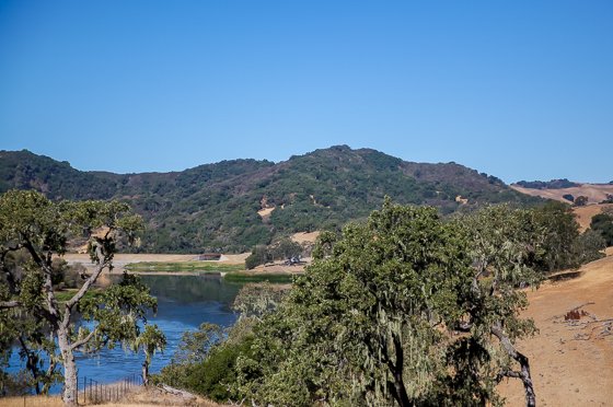 Rustic Elegance For Families: The Alisal Guest Ranch Resort