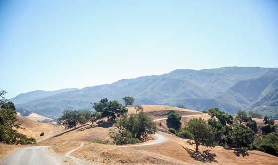 Rustic Elegance For Families: The Alisal Guest Ranch Resort