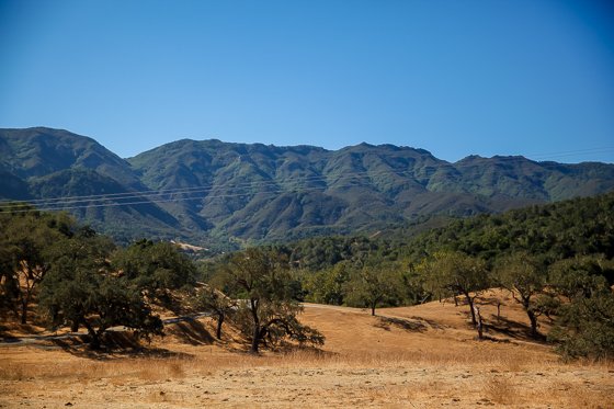 Rustic Elegance For Families: The Alisal Guest Ranch Resort