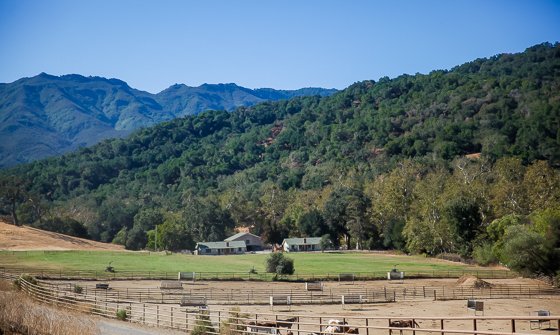 Rustic Elegance For Families: The Alisal Guest Ranch Resort