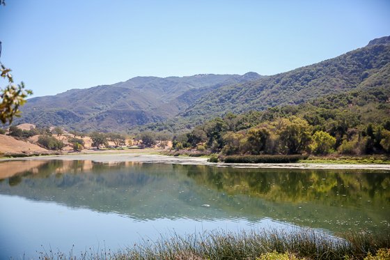 Rustic Elegance For Families: The Alisal Guest Ranch Resort