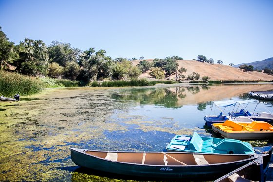 Rustic Elegance For Families: The Alisal Guest Ranch Resort