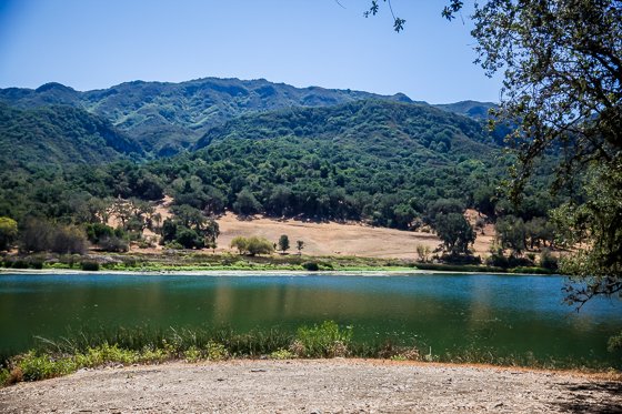 Rustic Elegance For Families: The Alisal Guest Ranch Resort