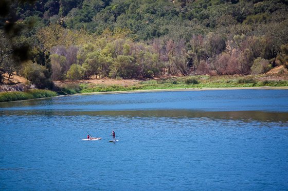 Rustic Elegance For Families: The Alisal Guest Ranch Resort
