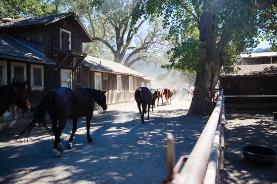 Rustic Elegance For Families: The Alisal Guest Ranch Resort