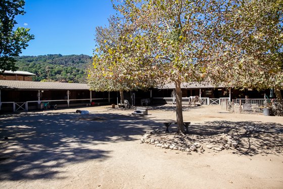Rustic Elegance For Families: The Alisal Guest Ranch Resort