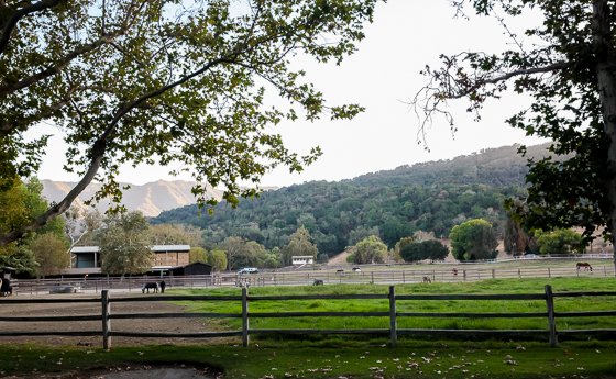 Rustic Elegance For Families: The Alisal Guest Ranch Resort