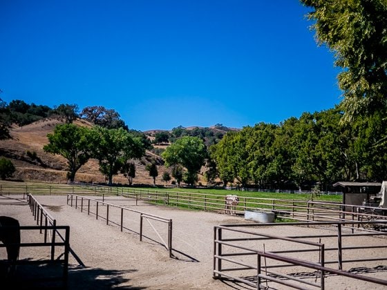 Rustic Elegance For Families: The Alisal Guest Ranch Resort