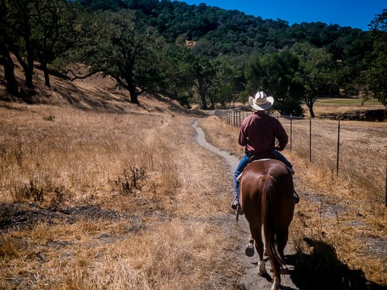 Rustic Elegance For Families: The Alisal Guest Ranch Resort