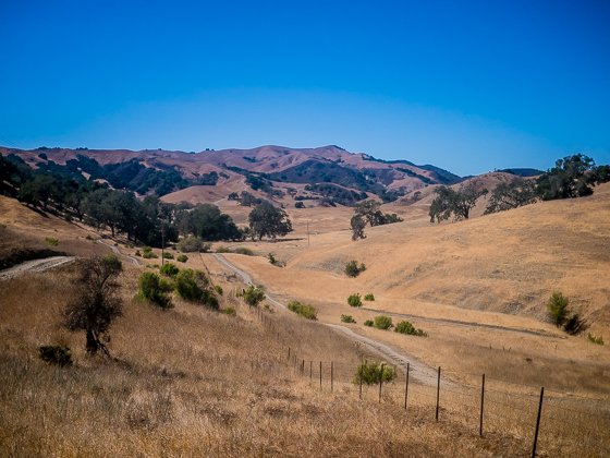 Rustic Elegance For Families: The Alisal Guest Ranch Resort