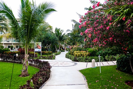 All Inclusive Family Luxury At The Azul Sensatori Mexico All Inclusive Family Luxury At The Azul Sensatori Mexico