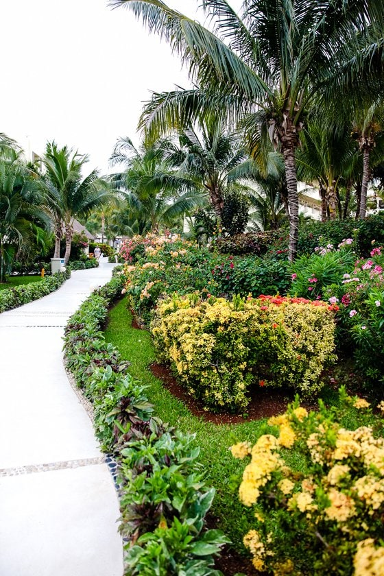 All Inclusive Family Luxury At The Azul Sensatori Mexico All Inclusive Family Luxury At The Azul Sensatori Mexico