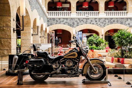 All Inclusive & Family Friendly- Hard Rock Hotel Riviera Maya All Inclusive & Family Friendly- Hard Rock Hotel Riviera Maya