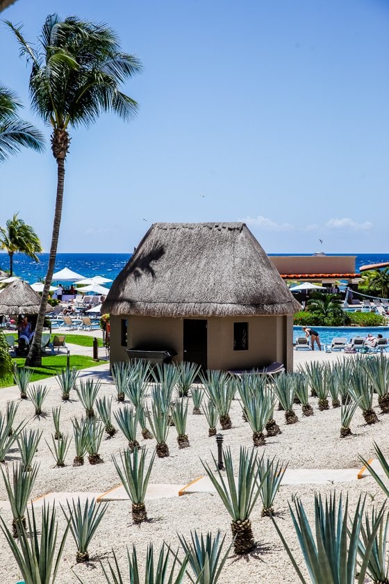 All Inclusive & Family Friendly- Hard Rock Hotel Riviera Maya All Inclusive & Family Friendly- Hard Rock Hotel Riviera Maya